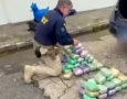 Grande apreensão de drogas