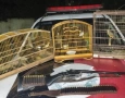 Aves e arma de fogo apreendidas em ação policla no município de Pilõeszinho 