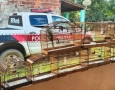 Aves silvestres apreendidas pela polícia militar no município de Belém, agreste paraibano 