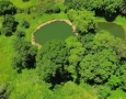 Semana do Meio Ambiente