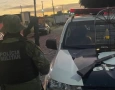 Aves e arma de fogo apreendidas em Bananeiras 