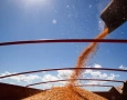 Produção de grãos