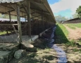 Granja de galinhas