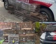 Aves silvestes apreendidas pela polícia militar na Paraíba 