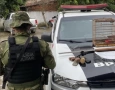 Arma e ave silvestre apreendidas em Guarabira 