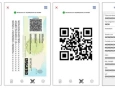 Versão digital da Carteira de Identidade Nacional (CIN)