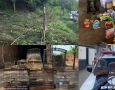 Ações do Batalhão Especializado em Policiamento do Meio Ambiente (BPMA)