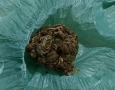 Maconha apreendida em ação da PM