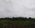Alerta para vendaval de até 60 km/h