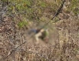 Corpo de homem achado em São José de Piranhas