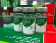 Vacina contra a influenza 