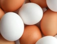 Ovos 