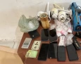 Material ilícito apreendido em ação da PC