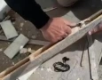 Celulares, carregadores e fone de ouvido escondidos dentro de pedaço de madeira