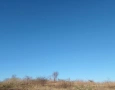 Onda de calor