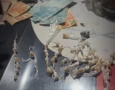 Drogas apreendidas em ação da PM