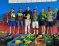 Distribuição de alimentos do PAA