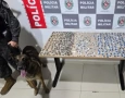 Drogas apreendidas em ação da PM