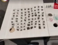 Material ilícito apreendido em ação da PM