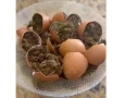 Drogas escondidas em alimentos