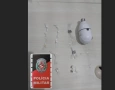 Droga apreendida em ação da PM