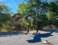 Vale dos Dinossauros, em Sousa