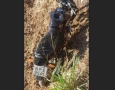 Moto recuperada em ação da PM