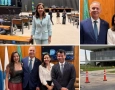 Pollyanna Werton em Brasília