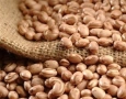 Produção brasileira de grãos da safra 2026/2027